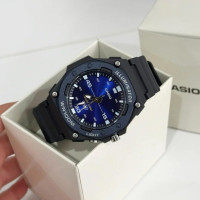 Casio MW-620H-2A