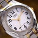 Casio LTP-1275SG-7B