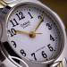 Casio LTP-1275SG-7B