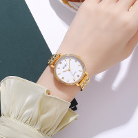 Skmei 2006GDWT Gold-White