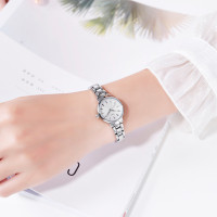 Skmei 1410SI Silver