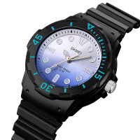 Skmei 2012BKBU Black-Blue SALE