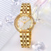 Skmei 1979GD Gold