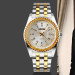 Skmei 9098SI-S Silver Lady