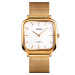 Skmei 1555SGD Gold