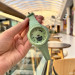 Sanda 6005 Green