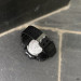 Sanda 6021 Black-Silver