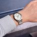 Pagani Design PD-1734 Silver-White