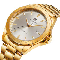 Forsining 8294 Gold-White Steel