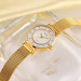 Skmei 1330SGD Gold