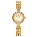 Skmei 2547GD Gold