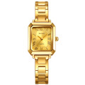 Skmei 2582GDGD All Gold