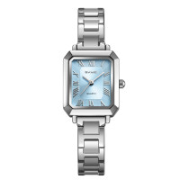 Skmei 2582SIBU Silver-Blue