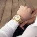 Curren 8372 Gold-White